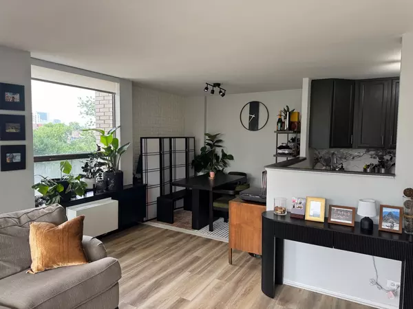 Chicago, IL 60610,1460 N Sandburg TER #501