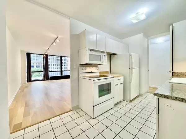 Chicago, IL 60611,900 N LAKE SHORE DR #510