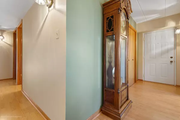 Orland Park, IL 60462,15722 Old Orchard CT #1E