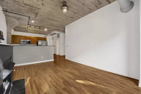 Chicago, IL 60608,1151 W 14th PL #205