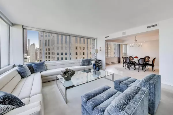 Chicago, IL 60611,1000 N Lake Shore PLZ #24B