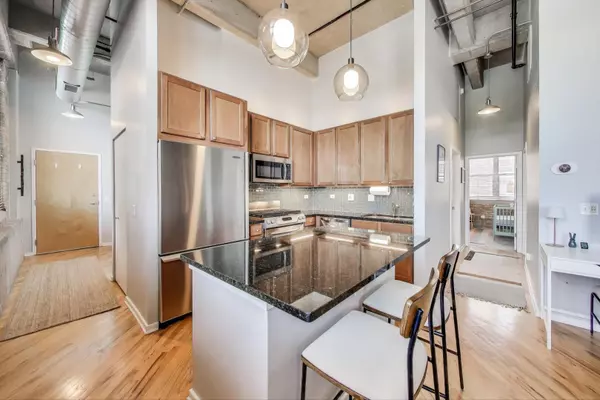 Chicago, IL 60622,1735 N Paulina ST #422