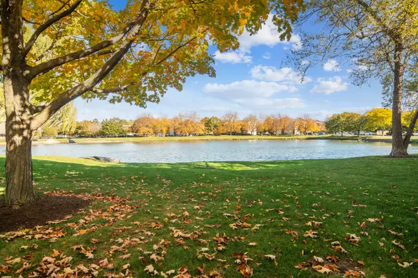 Palatine, IL 60074,1316 E Evergreen DR #7