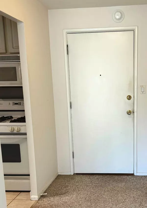 Glen Ellyn, IL 60137,230 Duane ST #3A