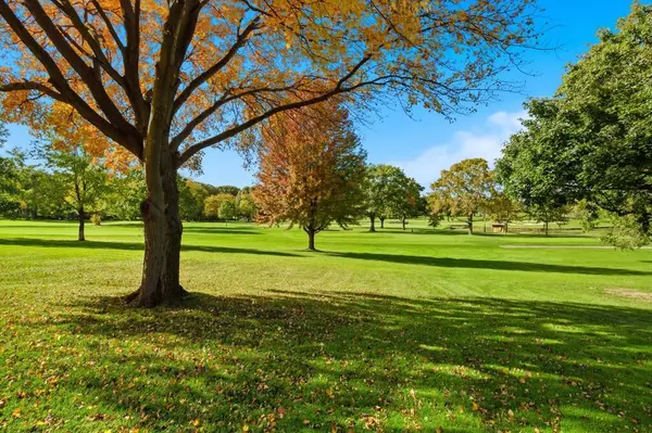 Frankfort, IL 60423,90 Golfview LN #D