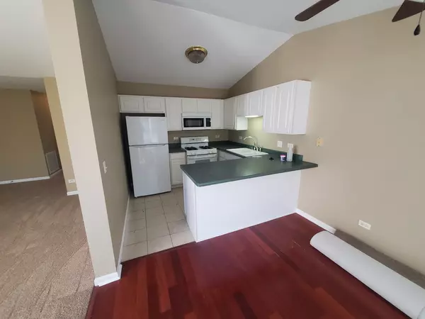 Round Lake Beach, IL 60073,1037 N VILLAGE DR #3