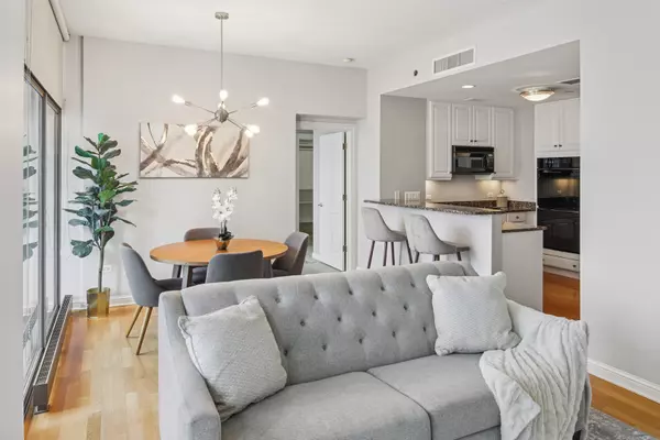 Chicago, IL 60611,21 E Huron ST #1101