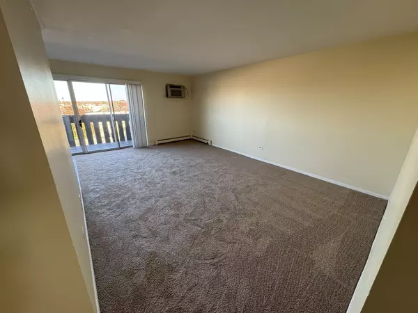 Schaumburg, IL 60193,1120 Copperfield LN #E