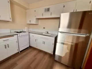 Des Plaines, IL 60016,498 Lee ST #2S