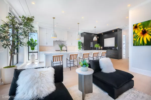 Chicago, IL 60607,116 N Willard CT #PH01