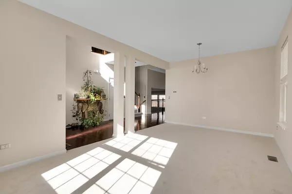 Shorewood, IL 60404,1120 TRILLIUM LN