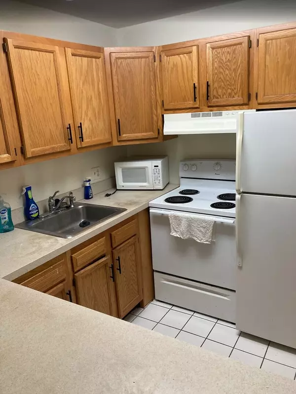 Lisle, IL 60532,1811 Four Lakes AVE #4E