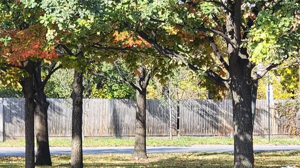 Chicago, IL 60609,4926 S Western AVE