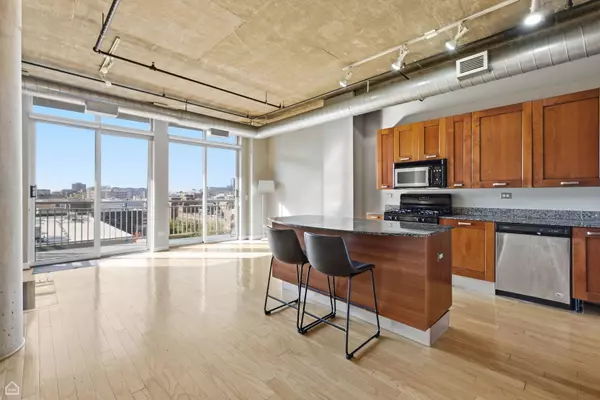 Chicago, IL 60607,111 S MORGAN ST #701