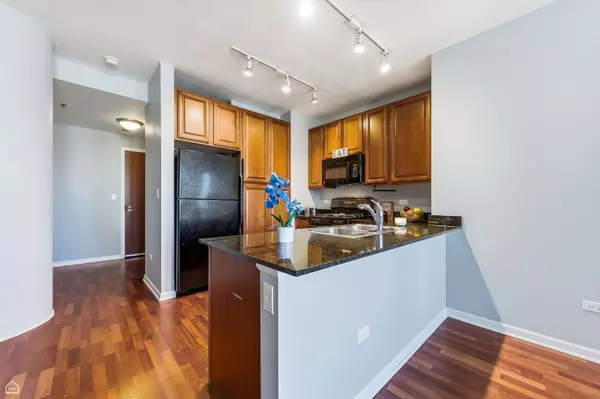 Chicago, IL 60605,1255 S State ST #1701