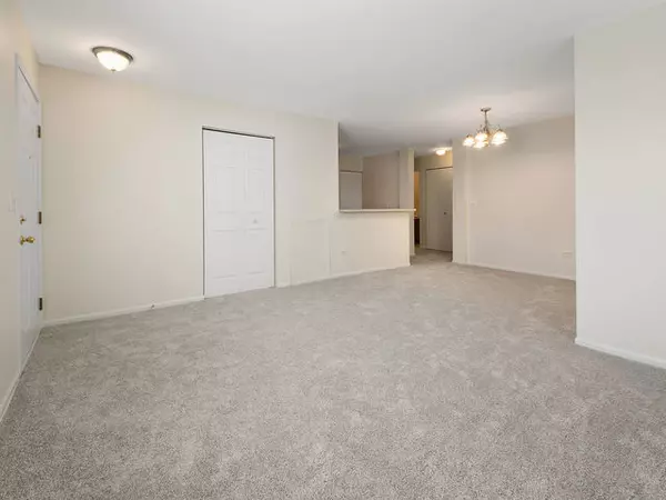 Carpentersville, IL 60110,1309 Silverstone DR #1309