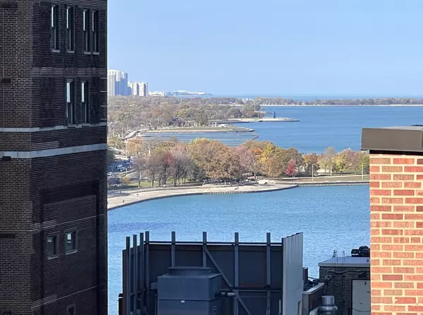 Chicago, IL 60611,200 E Delaware PL #19A