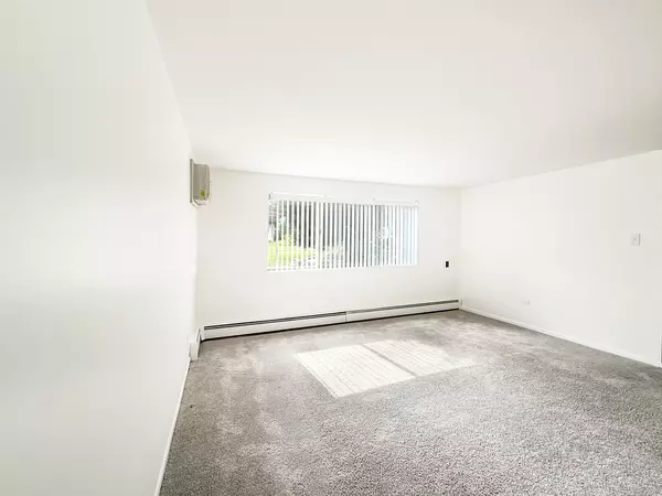 Tinley Park, IL 60477,17812 Oak Park AVE #1S