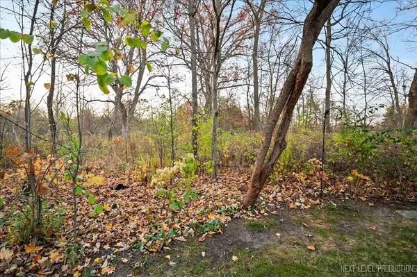 St. Charles, IL 60174,92 Whittington CRSE