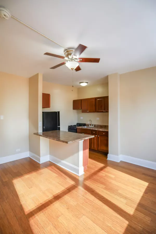 Chicago, IL 60615,5326 S cornell AVE #511