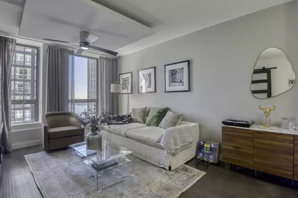 Chicago, IL 60611,260 E Chestnut ST #1111