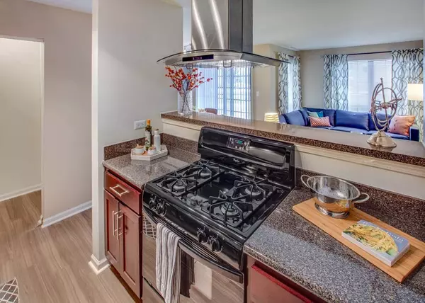 Willowbrook, IL 60527,140 Lincoln Oaks DR #1011