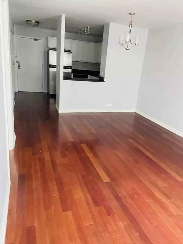 Chicago, IL 60611,222 E Pearson ST #905