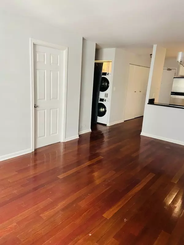 Chicago, IL 60611,222 E Pearson ST #905