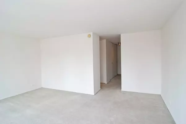 Chicago, IL 60610,1 E Scott ST #1906