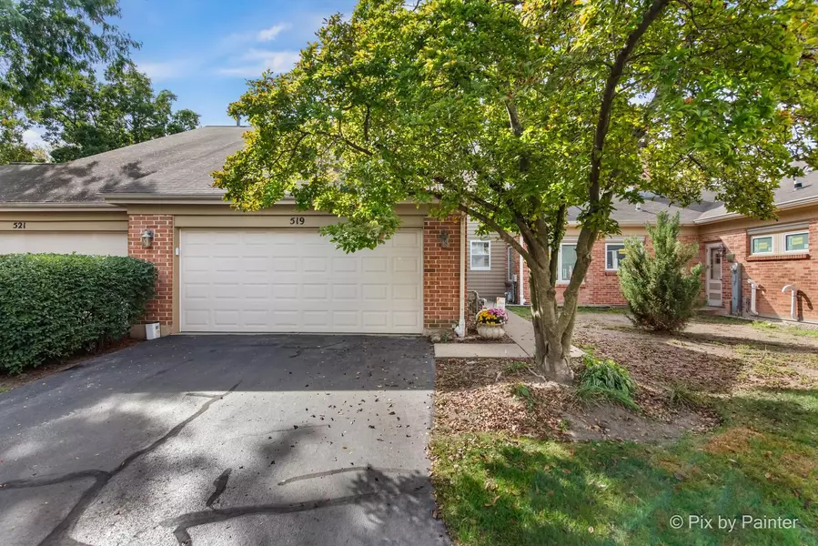 519 Shagbark DR, Elgin, IL 60123