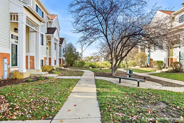 Cary, IL 60013,548 New Haven DR #548