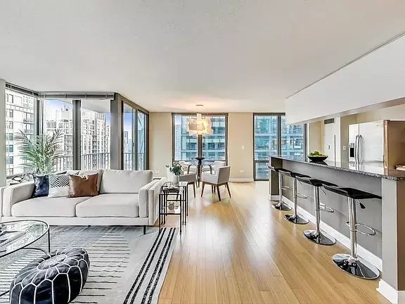 Chicago, IL 60611,2 E Erie ST #2205