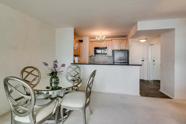 Chicago, IL 60611,1150 N LAKE SHORE DR #12F