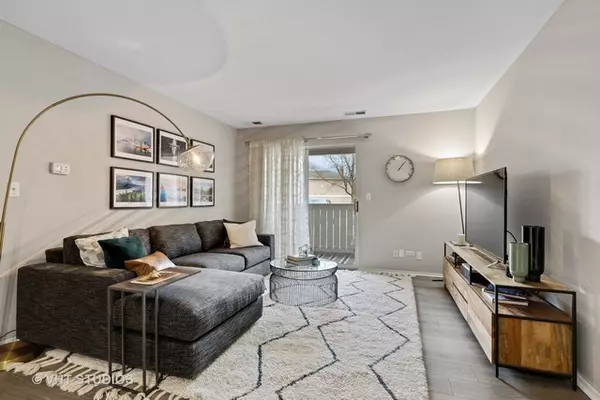 Schaumburg, IL 60173,1630 Lincoln Meadows CIR #1114