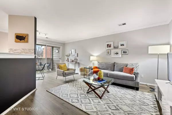 Schaumburg, IL 60173,103 Aster DR #3416