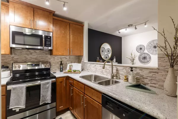 Schaumburg, IL 60173,1691 Buttonwood CIR #2713