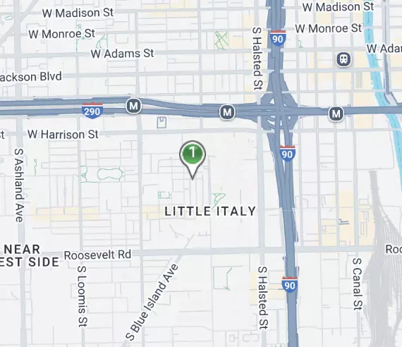 818 S Miller ST, Chicago, IL 60607