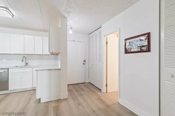 Niles, IL 60714,9128 W TERRACE DR #2N