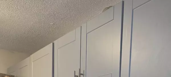 Hoffman Estates, IL 60169,1751 Queensbury CIR