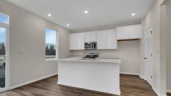 Tinley Park, IL 60477,6209 Leinster LN