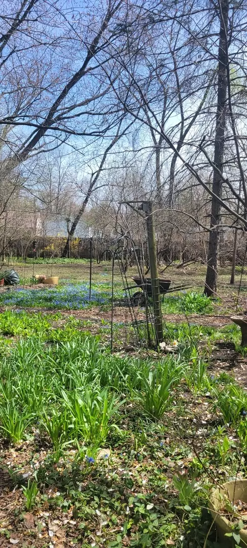 Darien, IL 60561,6921 Clarendon Hills RD