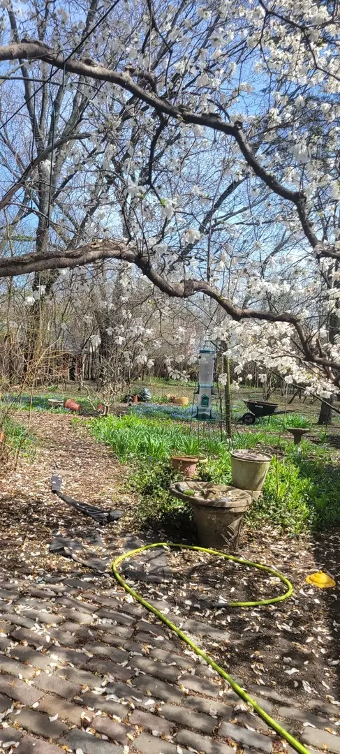 Darien, IL 60561,6921 Clarendon Hills RD