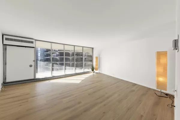 Chicago, IL 60654,300 N State ST #3235