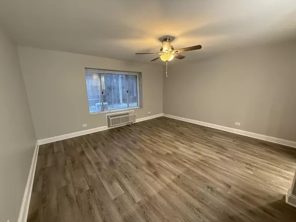 Chicago, IL 60613,744 W GORDON TER #104