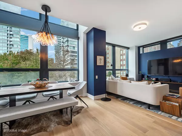 Chicago, IL 60654,600 N KINGSBURY ST #309