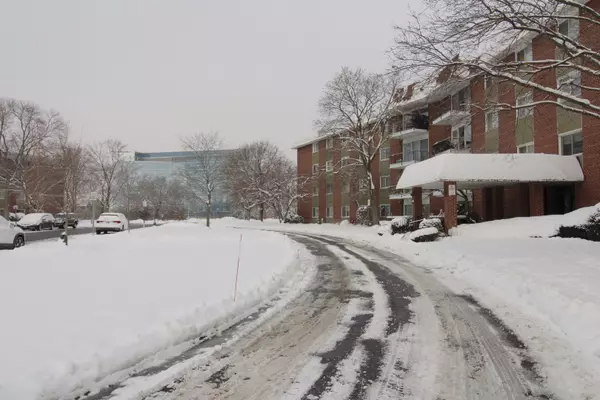 Arlington Heights, IL 60005,1025 S Fernandez AVE #1D