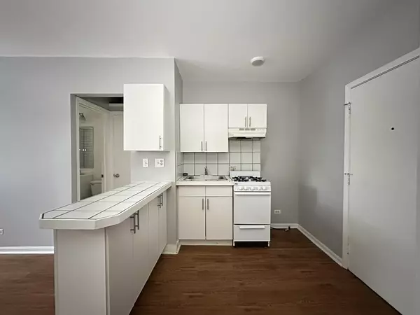 Chicago, IL 60613,4031 N KENMORE AVE #203