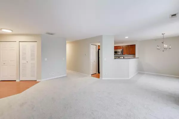 Palatine, IL 60067,249 W Lynn DR #6