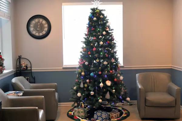 Des Plaines, IL 60016,390 S Western AVE #702