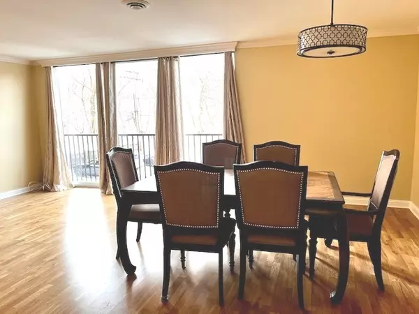 River Forest, IL 60305,424 Park AVE #204